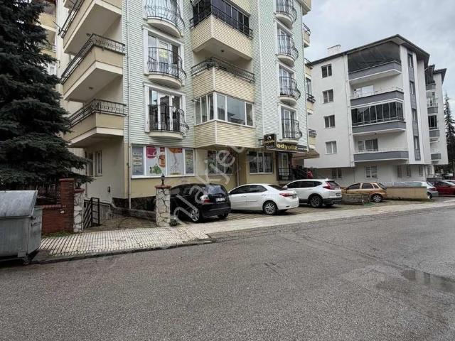 Çorum Merkez, Çorum içerisinde kiralık mülk