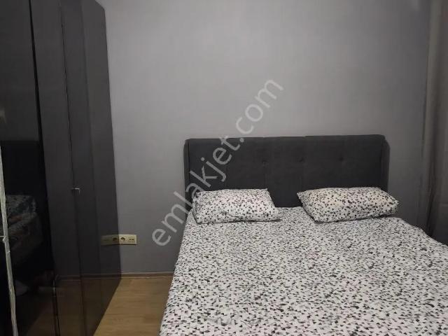 Arnavutköy, İstanbul içerisinde kiralık mülk