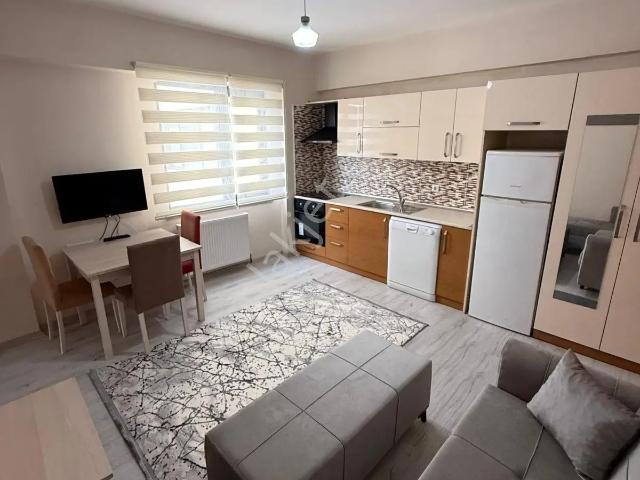 Düzce Merkez, Düzce içerisinde kiralık mülk