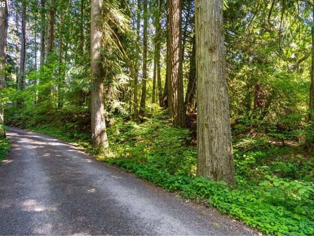 Land for sale in Oregonia