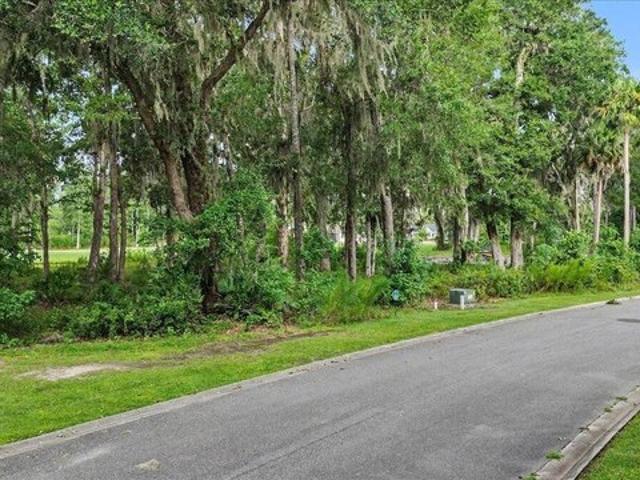 Land for sale in Waverly, Georgia