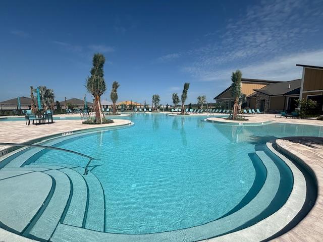 Room for rent in Tampa, Florida