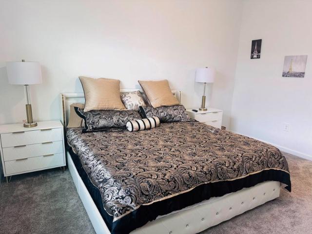 Room for rent in Tampa, Florida