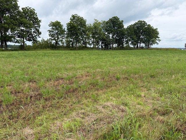 Land for sale in Vicksburg, Mississippi