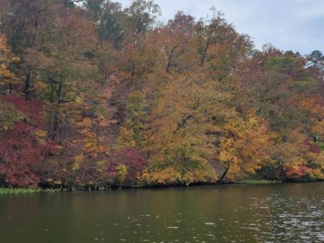 Land for sale in Coosa, Alabama