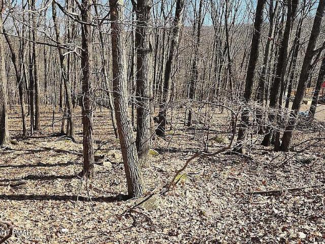 Land for sale in Bartonsville, Pennsylvania