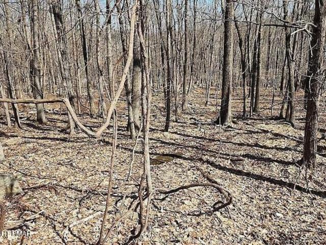 Land for sale in Bartonsville, Pennsylvania