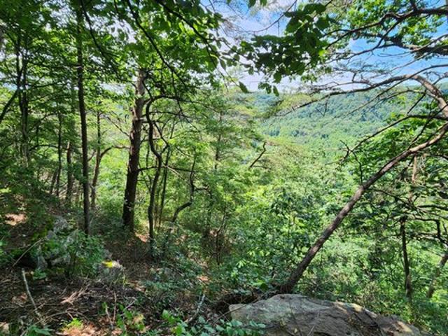 Land for sale in Tennessee