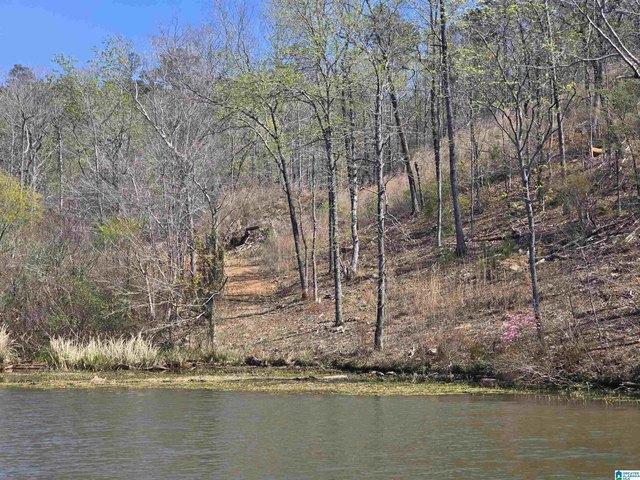 Land for sale in Coosa, Alabama