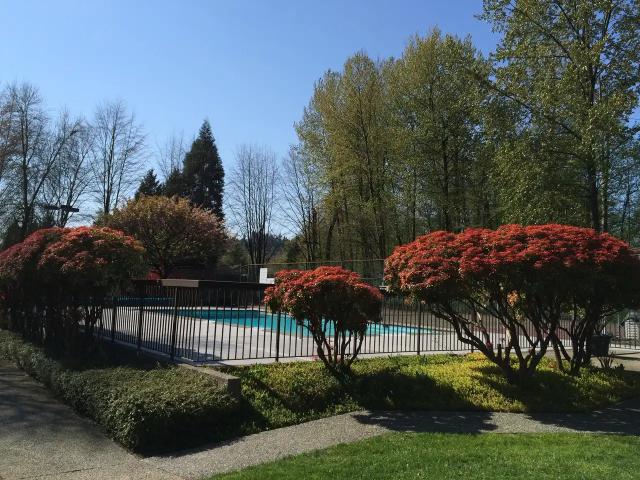 Apartment for rent in Coquitlam, British Columbia