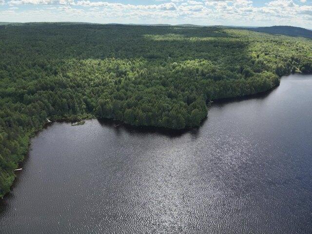 Land for sale in Lincoln, Maine