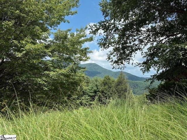 Land for sale in Landrum