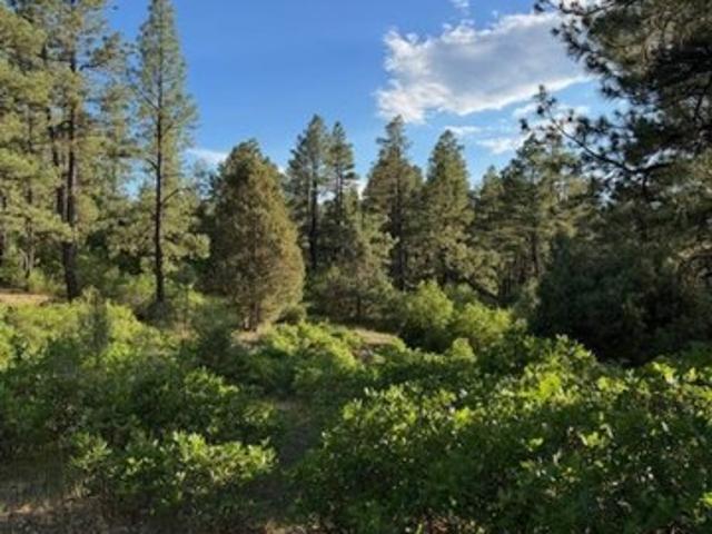 Land for sale in Chama, New Mexico