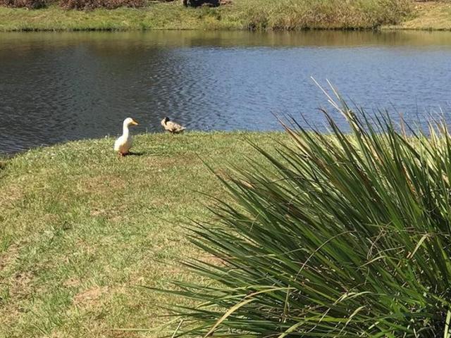 Land for sale in Headland, Alabama