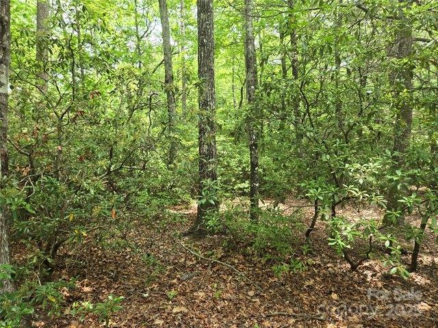 Land for sale in Rutherford, North Carolina