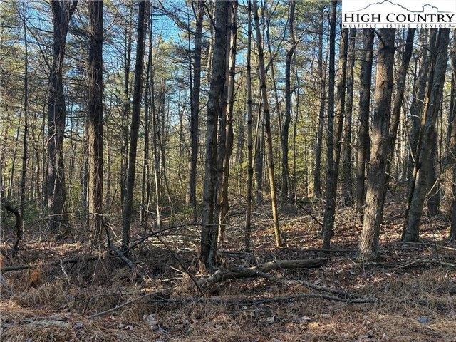Land for sale in Alleghany, North Carolina