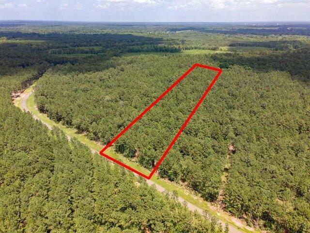 Land for sale in Broaddus, Texas