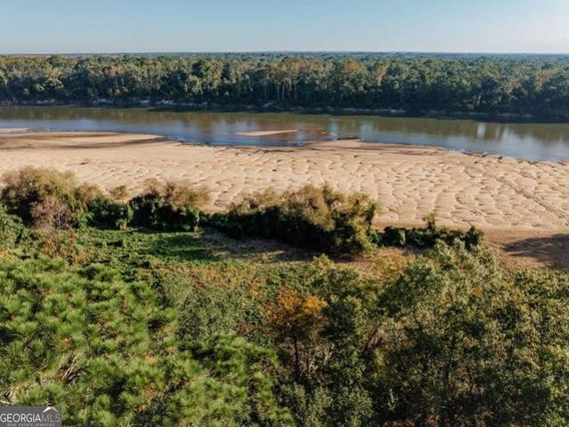 Land for sale in Surrency, Georgia