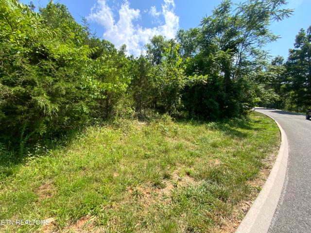 Land for sale in Tennessee