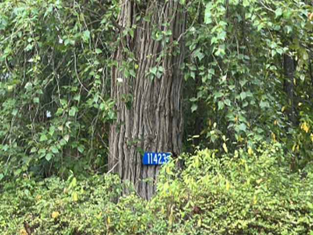 House for sale in Mount Vernon, Washington