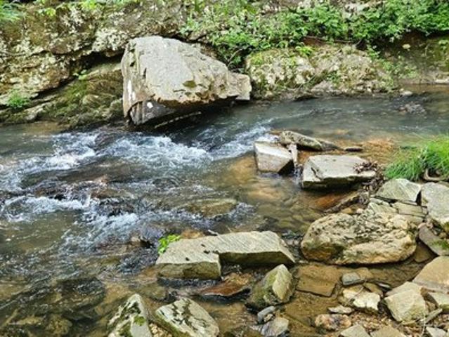 Land for sale in Virginia