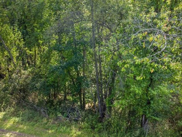 Land for sale in Princeton, West Virginia