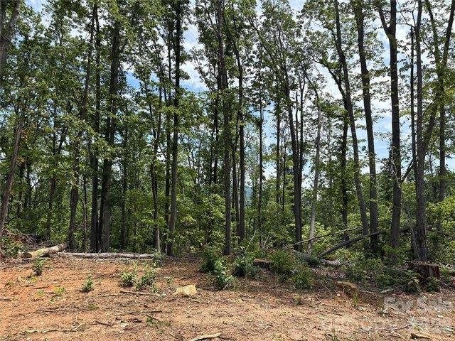 Land for sale in Saluda, North Carolina