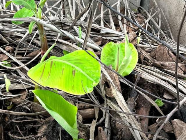 Land for sale in Odeda, Ogun