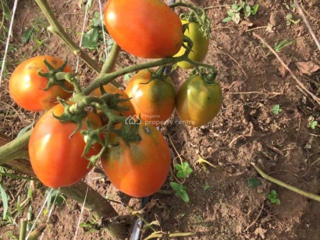 Land for sale in Abeokuta North, Ogun