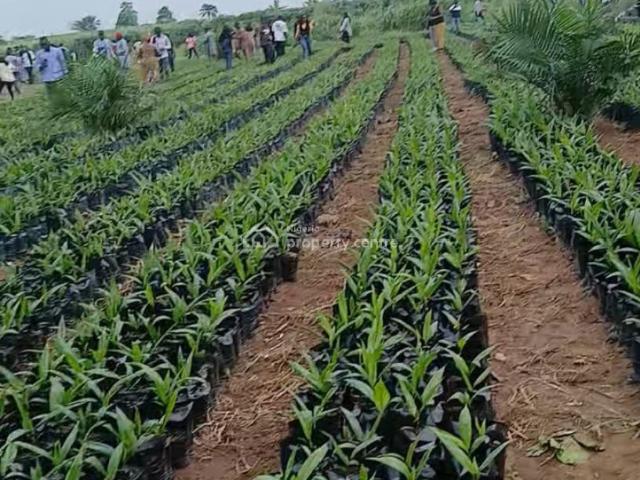 Land for sale in Ewekoro, Ogun