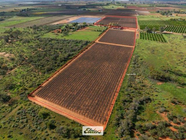 Cottage for sale in Coomealla, New South Wales