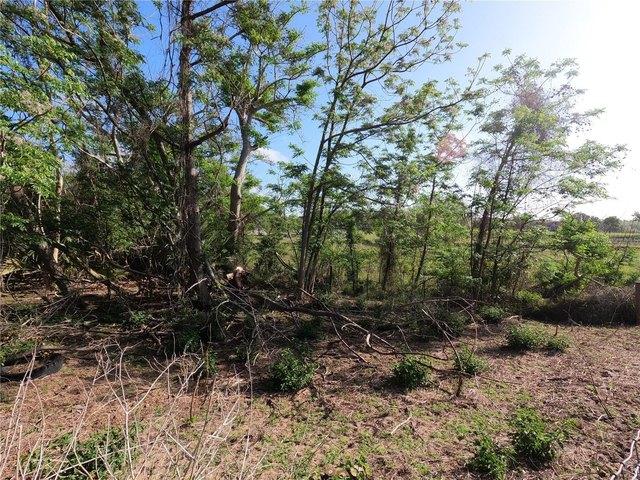 Land for sale in Groveland, Florida