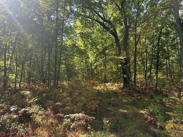 Land for sale in Harrison