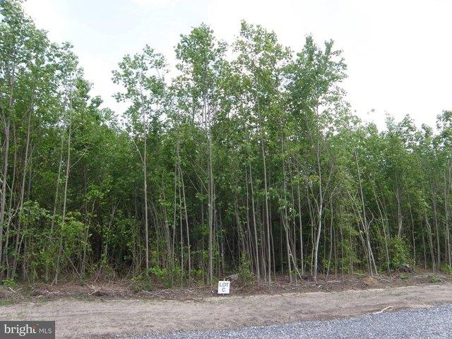 Land for sale in Delaware