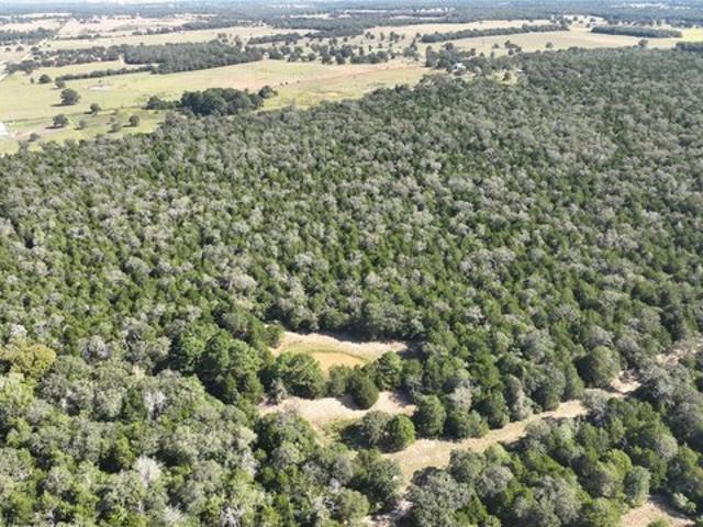 Farm for sale in Smithville, Bastrop County