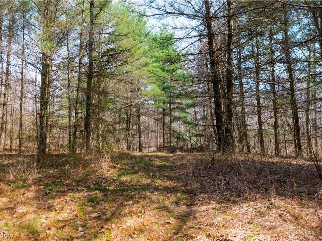 Land for sale in Lowell, Ohio