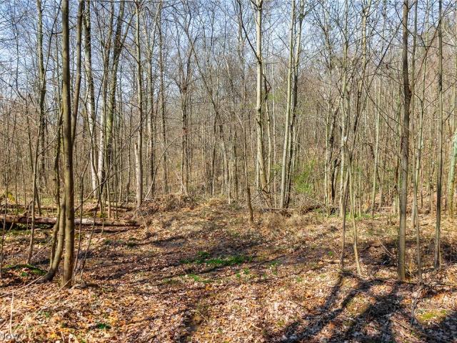Land for sale in Lowell, Ohio