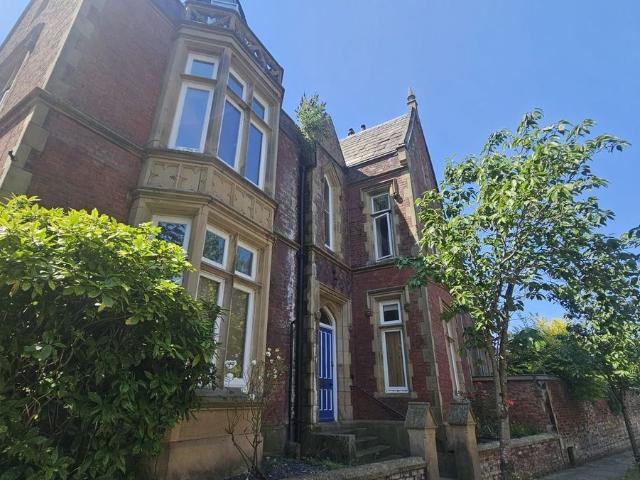 Studio for rent in Avenham, Higher Bartle