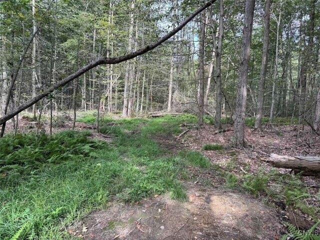 Land for sale in Chaffee, New York
