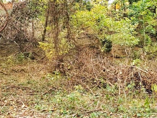 Land for sale in Brunswick, Frederick County