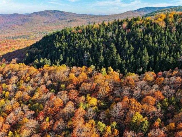 Land for sale in Vermont
