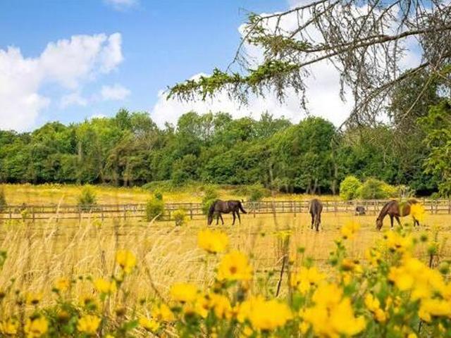 House for sale in Pachesham Park, Surrey