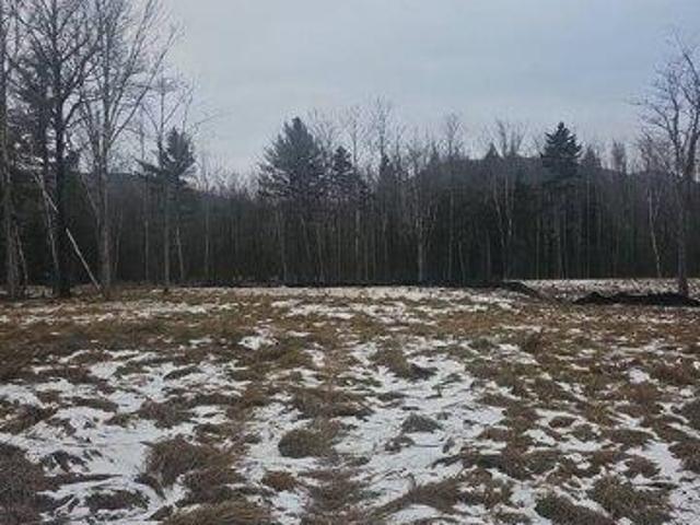 Land for sale in East Jewett