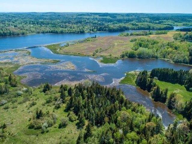 Land for sale in East Machias, Maine