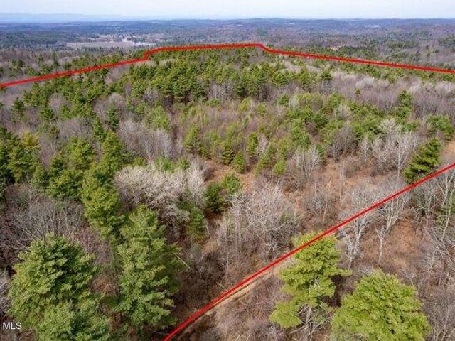 Land for sale in Brainard, New York