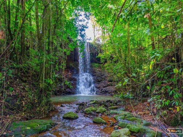 Property for sale in East Palmerston, Queensland