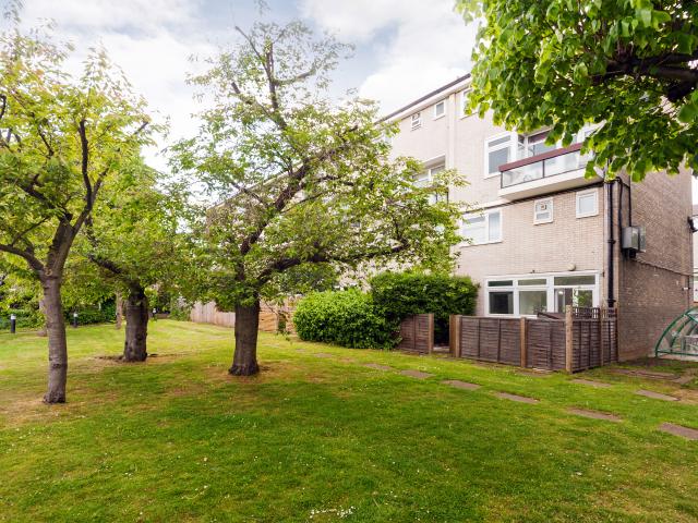 Room for rent in Putney, Greater London
