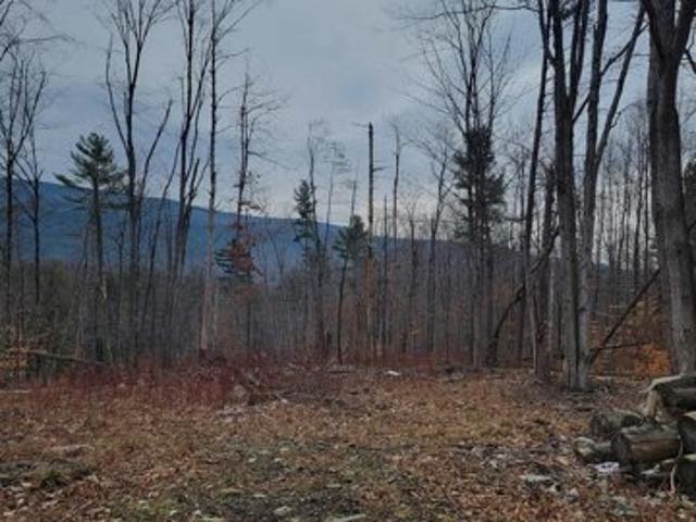 Land for sale in Bennington, Vermont