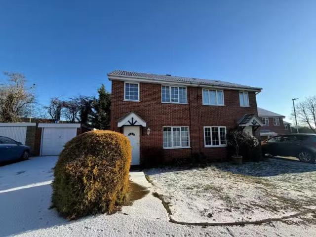 House for rent