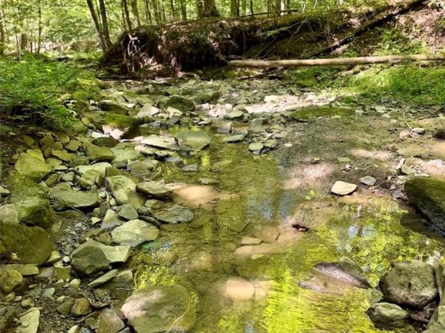 Land for sale in Town of Angelica, Allegany County